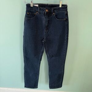 GAP Sky High-Rise Vintage Slim Jeans in Blue Size 27